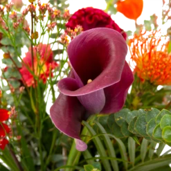 Boeket Herfst Warmte Middel -Huis Verkoop boeket herfst warmte middel boeketten 4