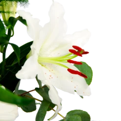 Boeket Witte Winter Groot -Huis Verkoop boeket witte winter boeketten 4