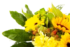 Boeket Zonnetje Klein -Huis Verkoop boeket zonnetje boeketten 4 1